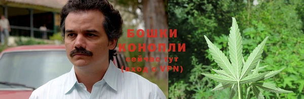 тгк Кулебаки