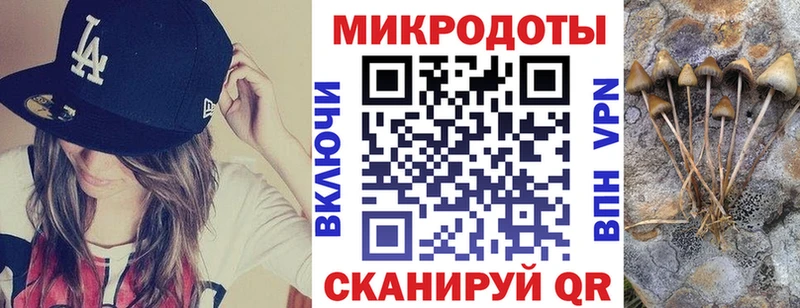 хочу   Харабали  Галлюциногенные грибы Magic Shrooms 